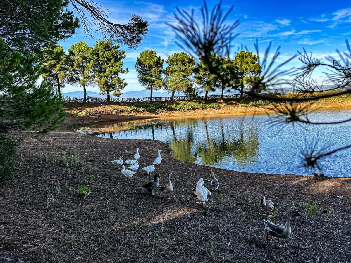 Popilia Country Resort بيتسو المظهر الخارجي الصورة